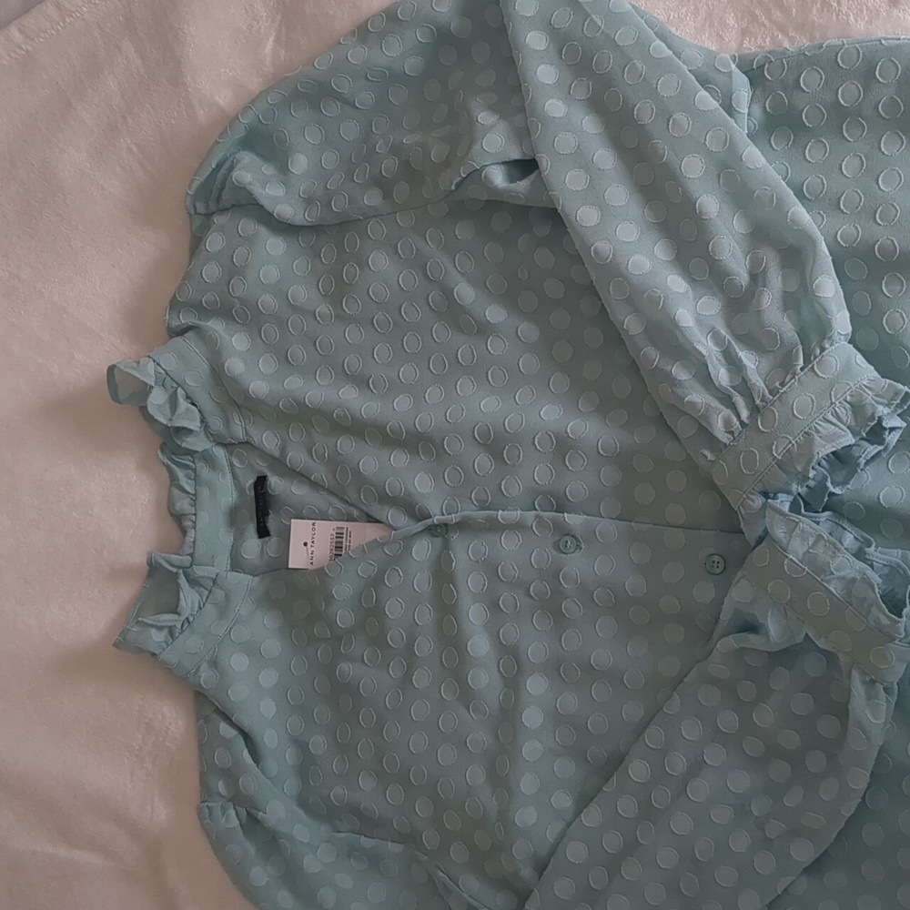 Ann Taylor Blouse